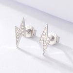 S925 pure silver micro inlaid colored zircon earrings