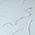 O-chain+paperclip chain splicing bracelet for women - MOWTE