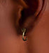 Cobra earring sterling silver hip-hop trendy handsome silver earrings