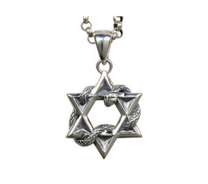 Men's fashion sterling silver hexagram snake pendant & necklace - MOWTE