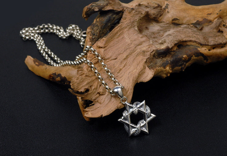 Men's fashion sterling silver hexagram snake pendant & necklace - MOWTE