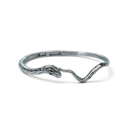 Men's fashion titanium steel snake bangle