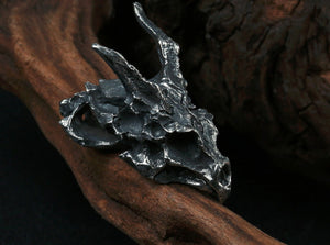 Men's fashion sterling silver dragon skeleton pendant & necklace